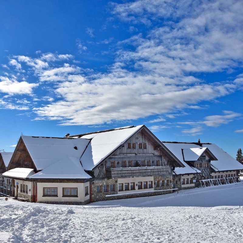 alpska perla foto zima